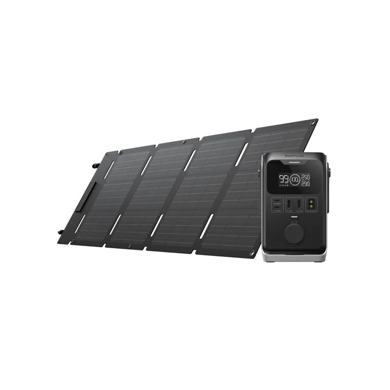 EcoFlow TRAIL 300 DC + 45W solar panel